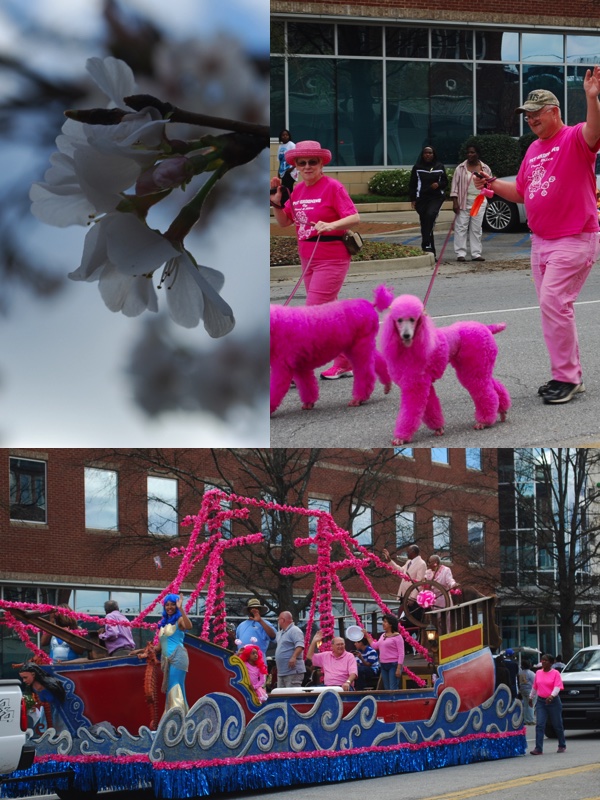 cherryblossomfest