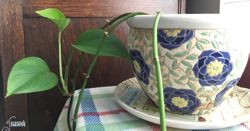 Hope Plant 03292018