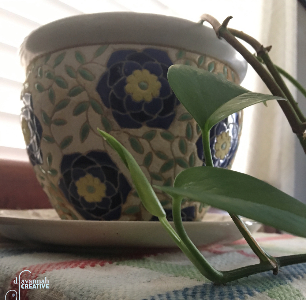 Hope Plant 09082018