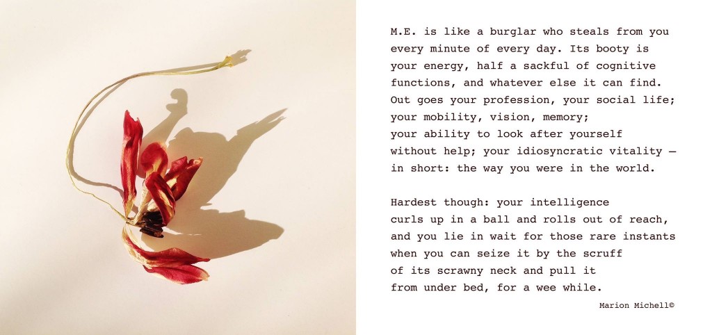 Textling and artwork about Myalgic Encephalomyelitis by patient Marion Michell. Used with permission.    M.E. is like a burglar who steals from you every minute of every day. Its booty is your energy, half a sackful of cognitive functions, and whatever else it can find. Out goes your profession, your social life; your mobility, vision, memory; your ability to look after yourself without help; your idiosyncratic vitality – in short: the way you were in the world.    Hardest though: your intelligence curls up in a ball and rolls out of reach, and you lie in wait for those rare instants when you can seize it by the scruff of its scrawny neck and pull it from under bed, for a wee while.