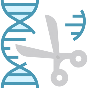 Stylized image of a gene sequence with a pair of scissors cutting a bit out.