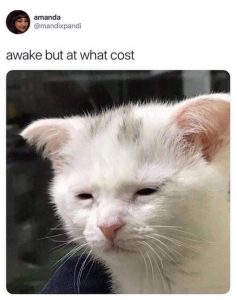 Photo of a white cat wtih its eyes almost closed. Caption says awake but at what cost.