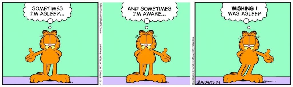 Garfield comic strip. He says Sometimes I'm asleep... sometimes I'm awake... wishing I was asleep.