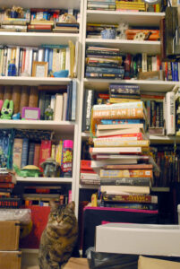 Tabby cat sitting in front of two very full bookshelves with a stack of books beside her.